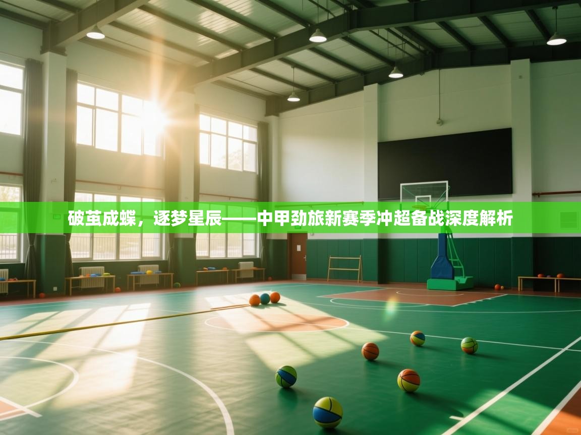 破茧成蝶,逐梦星辰——中甲劲旅新赛季冲超备战深度解析 第2张