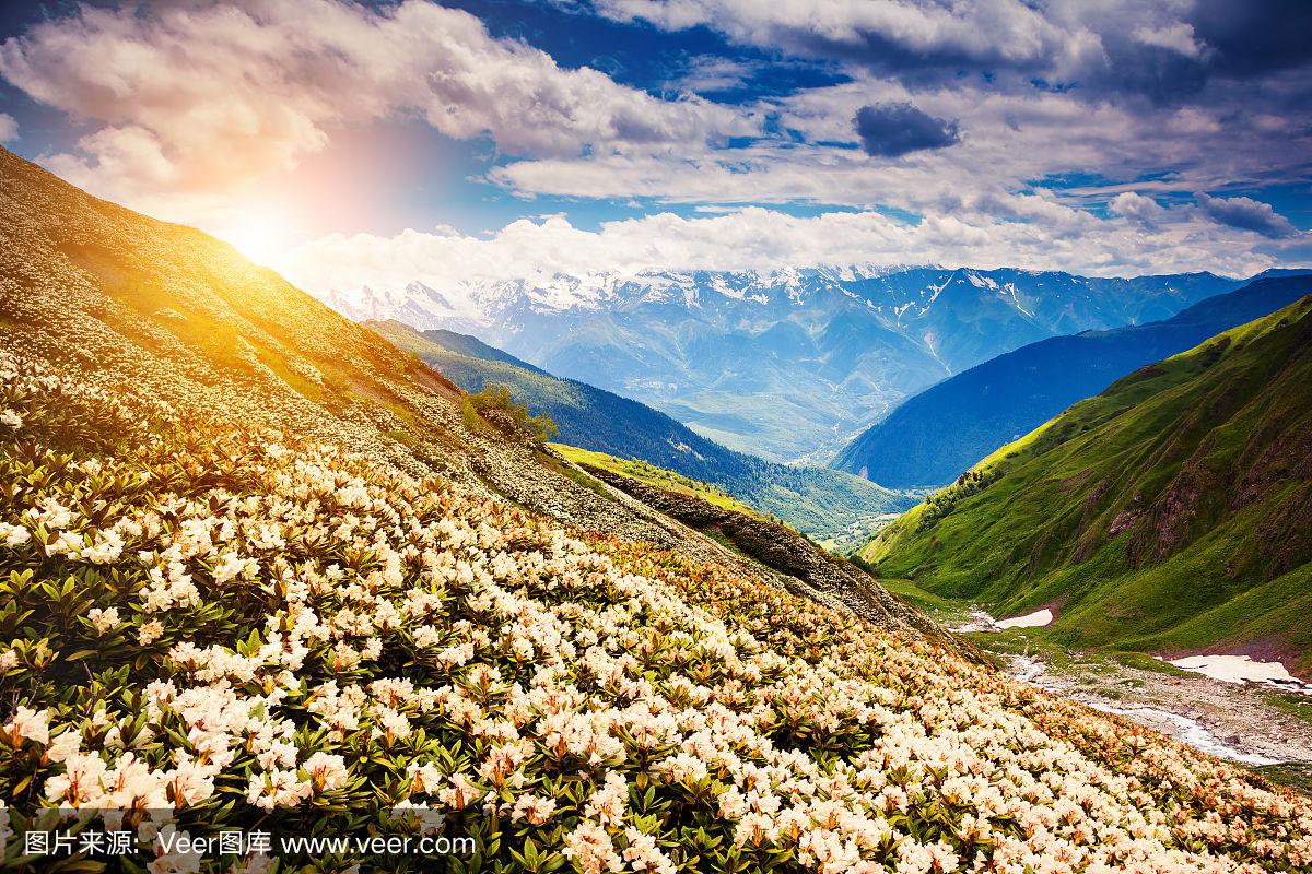 格鲁吉亚队挑战本领，小组战报非凡的简单介绍